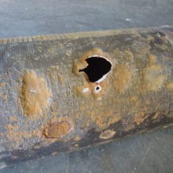 ductile-pipe-corrosion